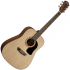 Washburn AD5 - gitara akustyczna świerk!